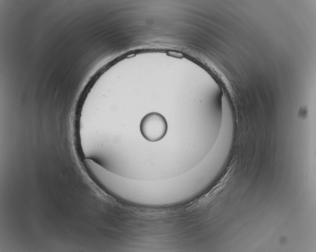 X0000116631085201001081247