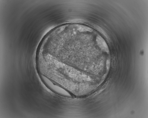 X0000116631087201001081247