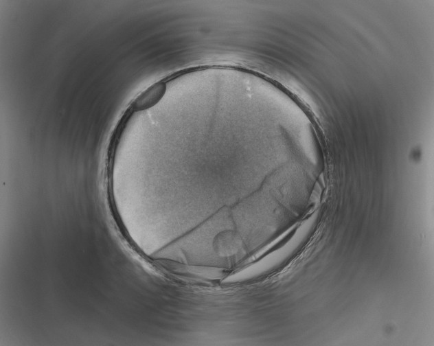X0000116631088201001081247