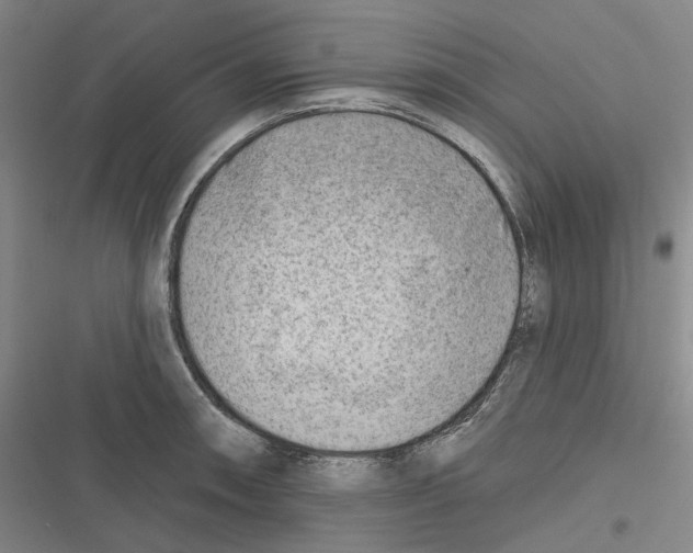 X0000116631090201001081247