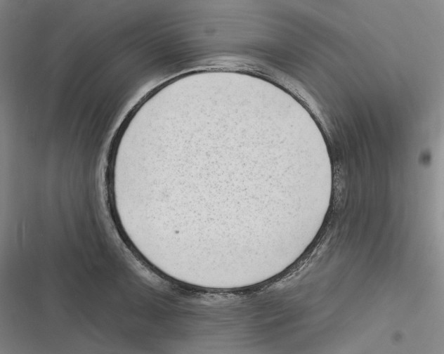 X0000116631091201001081247