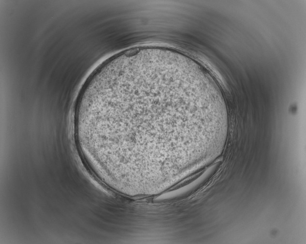 X0000116631092201001081247
