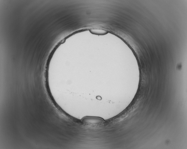 X0000116631093201001081247