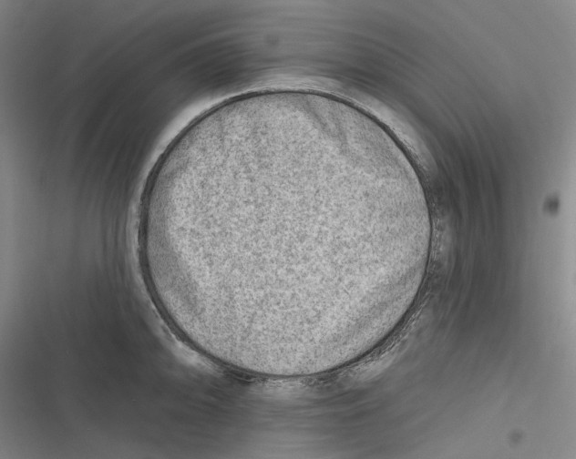 X0000116631094201001081247