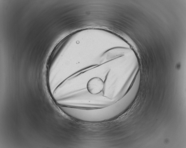 X0000116631096201001081247