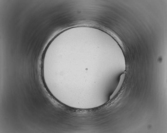X0000116631099201001081247