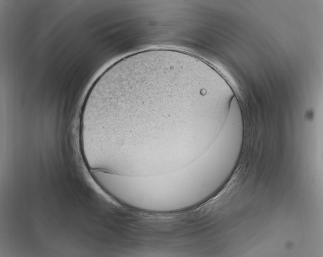 X0000116631100201001081247