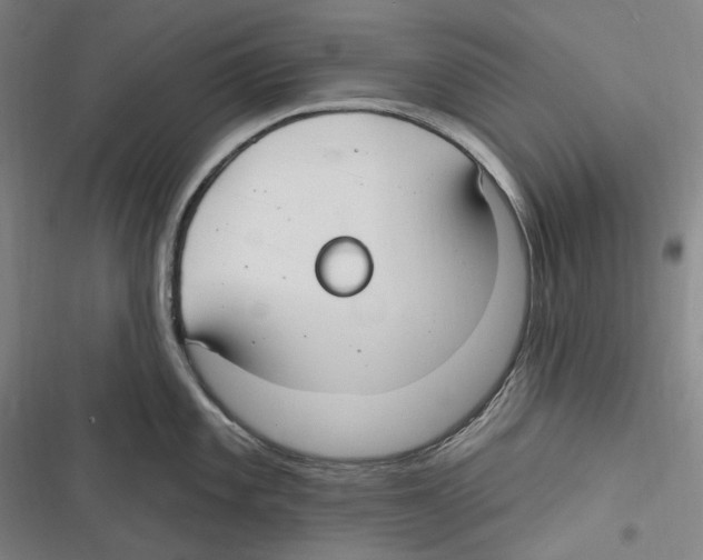 X0000116631101201001081247