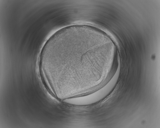 X0000116631102201001081247