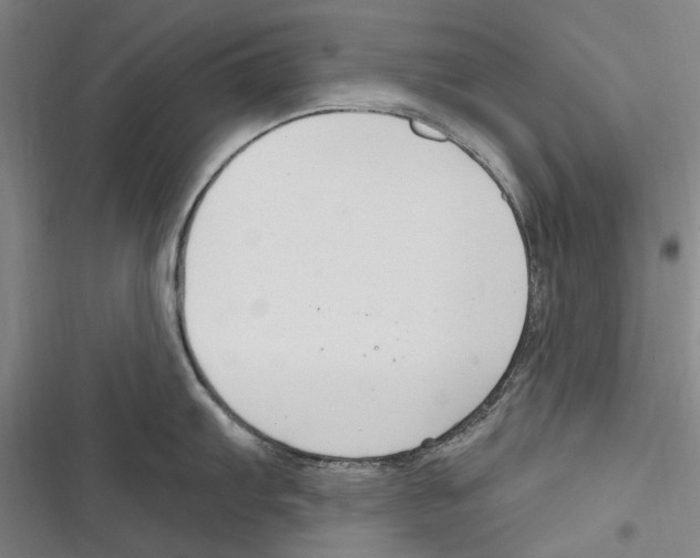 X0000116631103201001081247