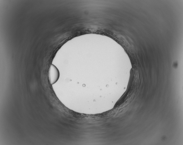 X0000116631105201001081247