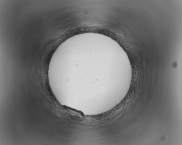 X0000116631109201001081247