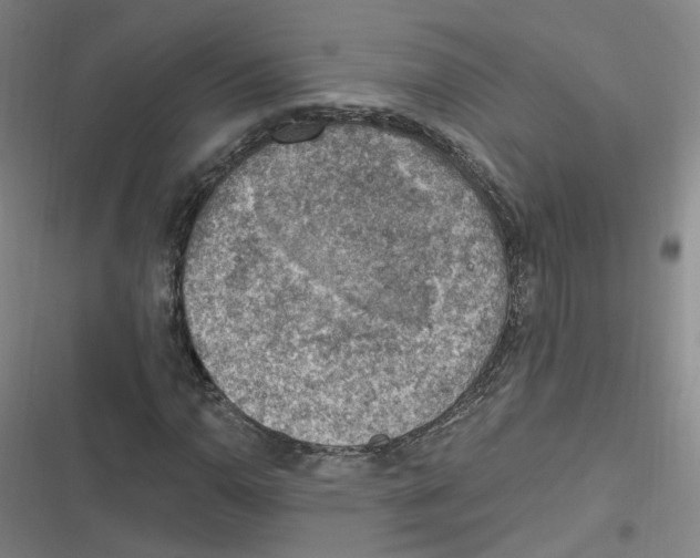 X0000116631110201001081247