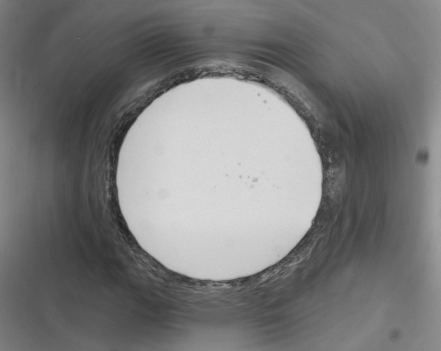 X0000116631111201001081247