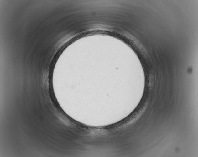 X0000116631113201001081247