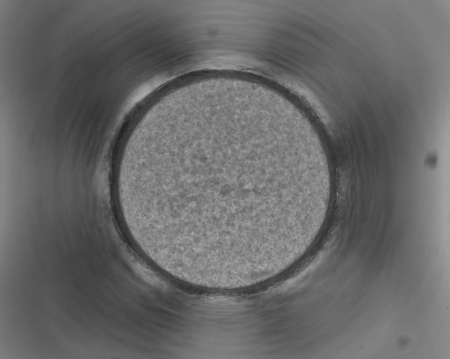 X0000116631114201001081247