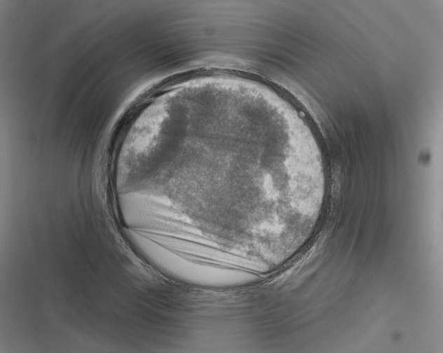 X0000116631115201001081247