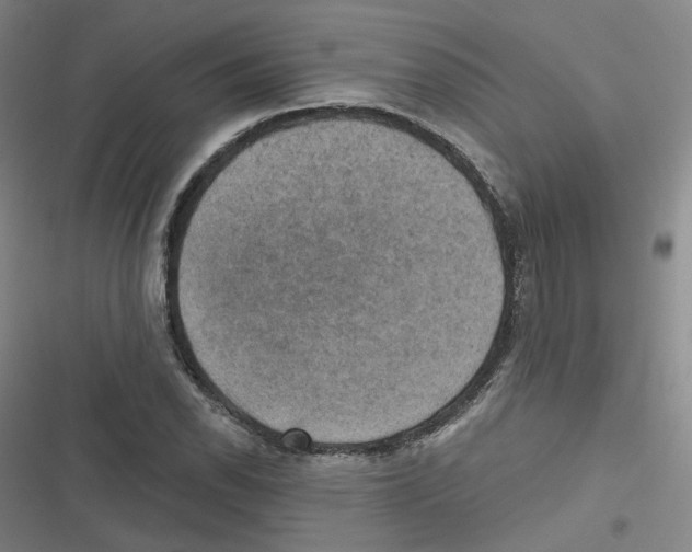 X0000116631118201001081247