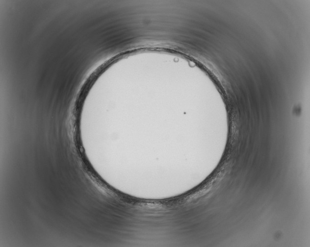 X0000116631119201001081247