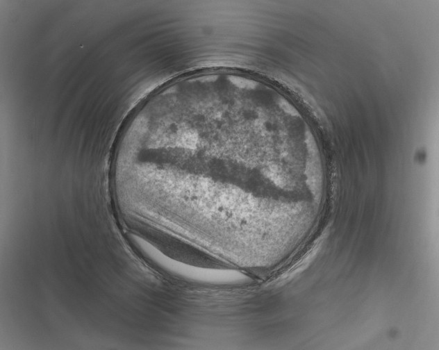 X0000116631121201001081247