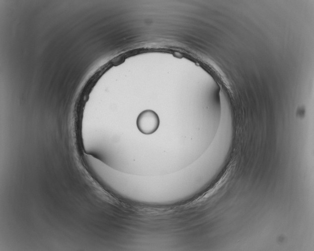 X0000116631122201001081247