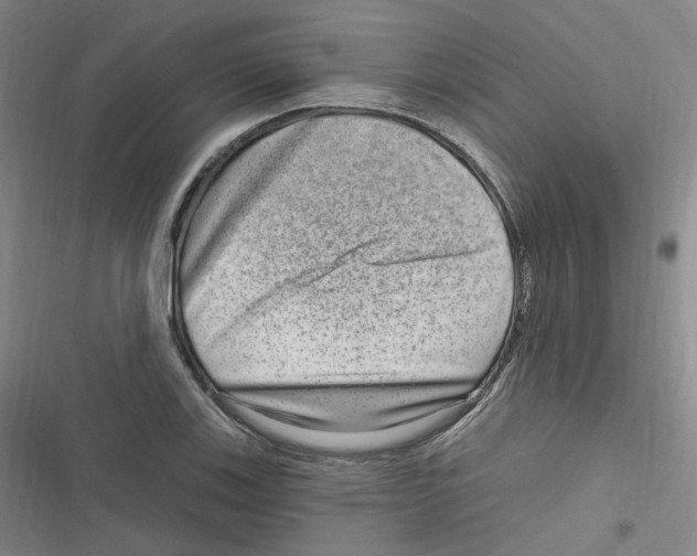 X0000116631123201001081247