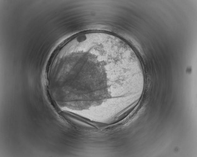 X0000116631125201001081247