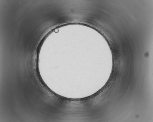X0000116631126201001081247