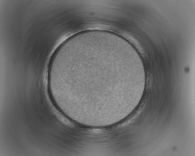 X0000116631130201001081247