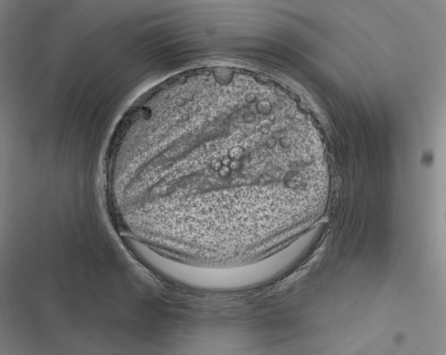 X0000116631133201001081247