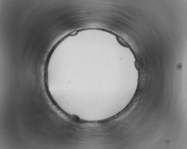 X0000116631134201001081247