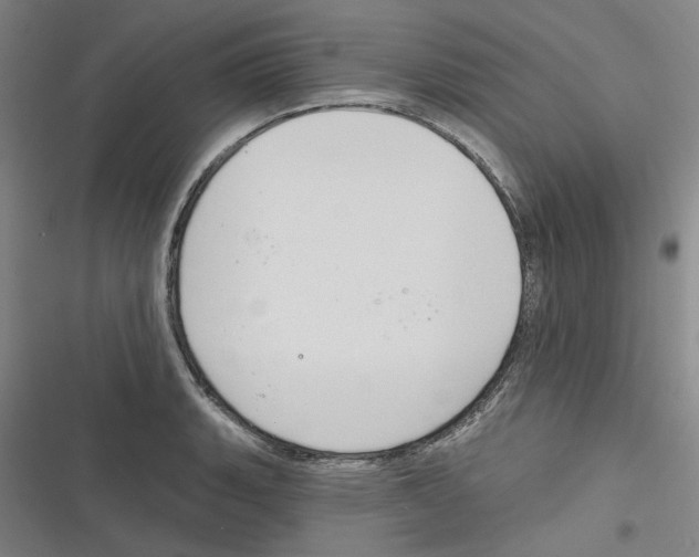 X0000116631135201001081247