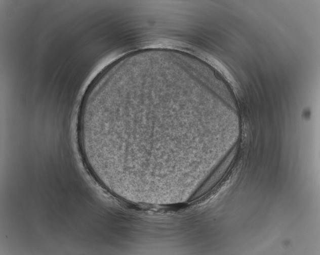 X0000116631138201001081247