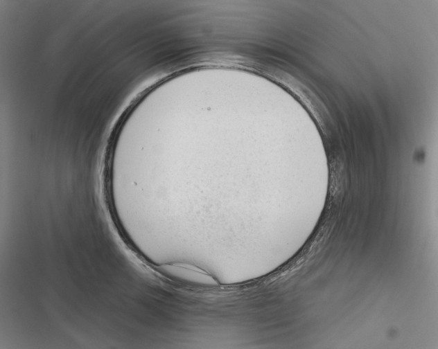 X0000116631139201001081247