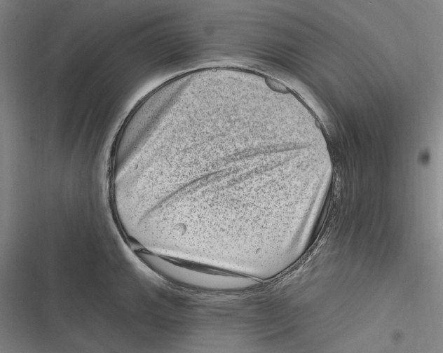 X0000116631143201001081247