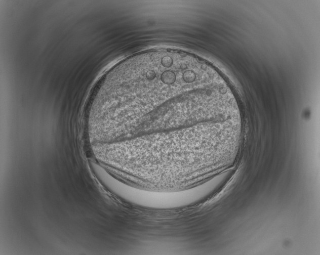 X0000116631145201001081247