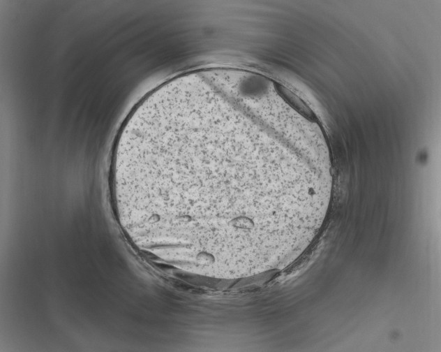 X0000116631146201001081247
