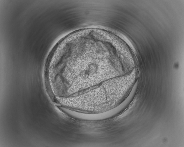 X0000116631149201001081247