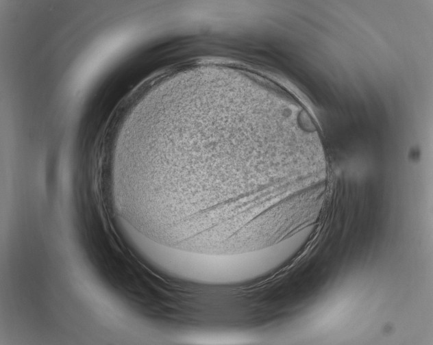 X0000116631151201001081247