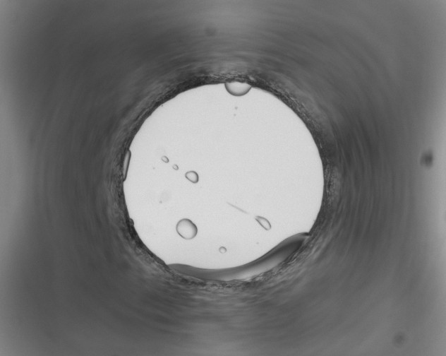 X0000116631153201001081246