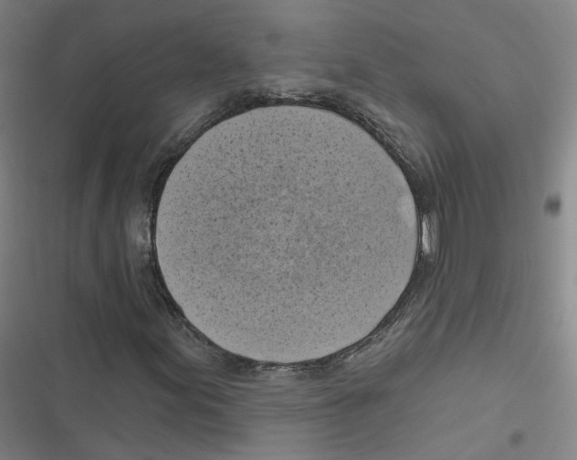 X0000116631155201001081246