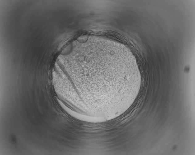 X0000116631156201001081246