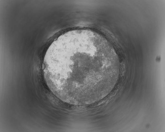 X0000116631158201001081246