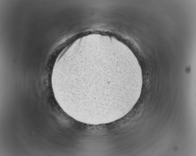 X0000116631159201001081246