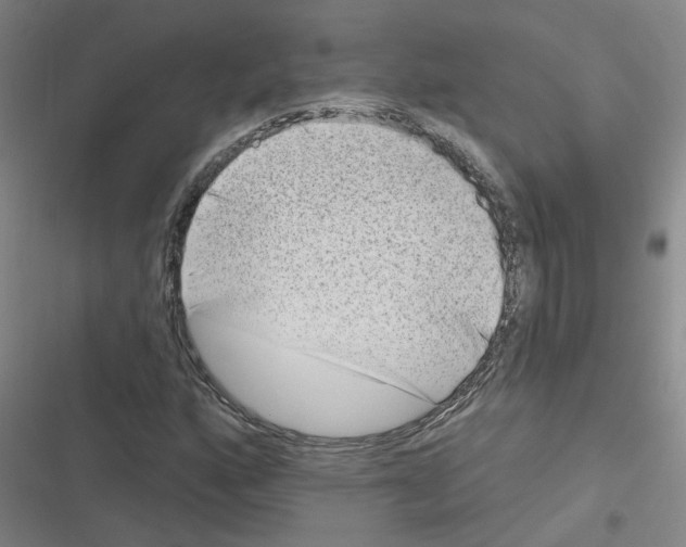 X0000116631160201001081246