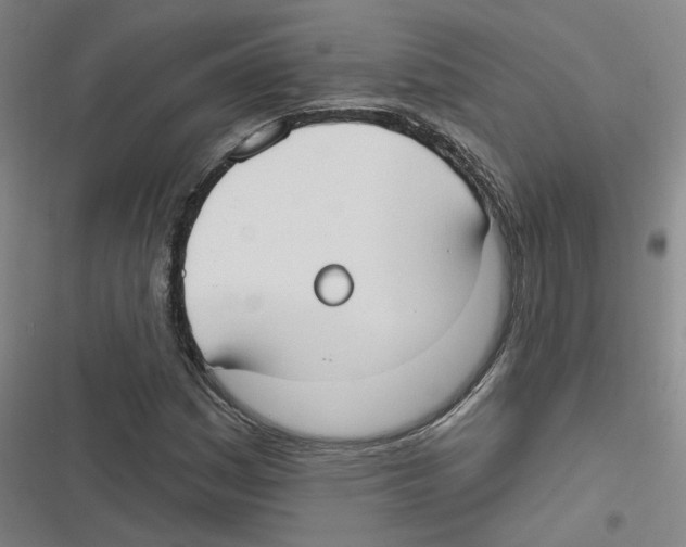 X0000116631161201001081246