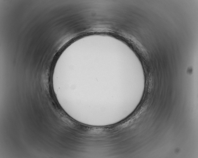 X0000116631162201001081246