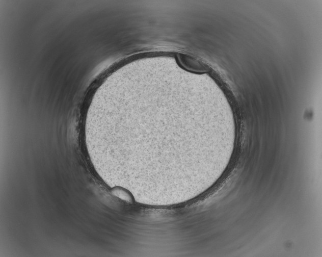 X0000116631163201001081246