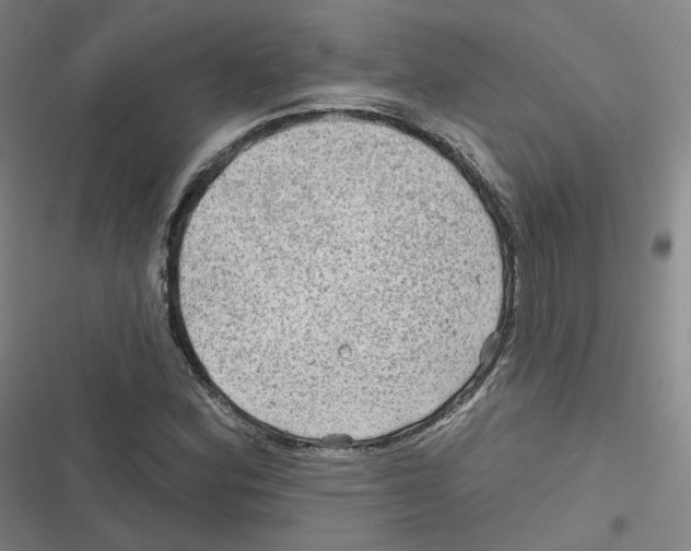 X0000116631164201001081246