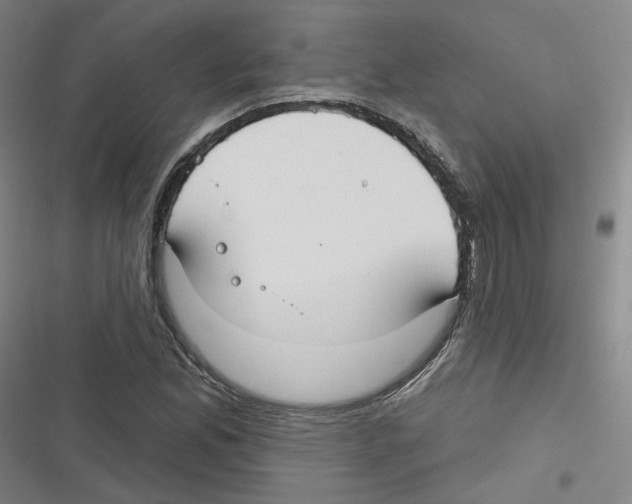 X0000116631165201001081246